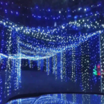 Jax Illuminations